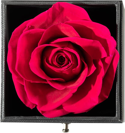 Mothers Day Gift Preserved Real Rose Preserved Rose Flower with Necklace 100 Languages Gift, Enchanted Real Rose Flower for Mother'S Day Gifts for Her (Red)