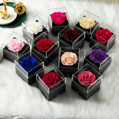Mothers Day Gift Preserved Real Rose Preserved Rose Flower with Necklace 100 Languages Gift, Enchanted Real Rose Flower for Mother'S Day Gifts for Her (Red)